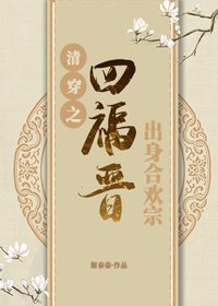 清穿之四福晉出身合歡宗