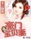 老公腹黑：豪門寶貝妻